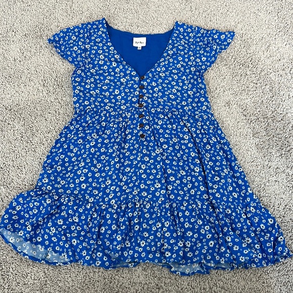 Vici Sky to Moon Deep Dive Button Down Blue Floral Babydoll Dress New - Picture 8 of 14